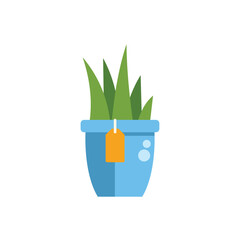 Poster - green plant growing in blue pot with price tag hanging on it, concept of buying and selling plants