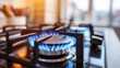 © Sebelas Studio - A close-up of a gas stove burner with blue flames ignited.