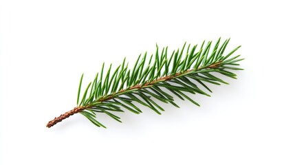 Poster - Minimalist holiday card on white background, ideal for Christmas.