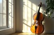 © twilight mist - Sunlit Cello Rests Against A Wall In A Room