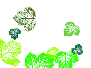 Wall Mural - set of leaves