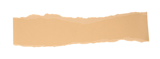 Poster - brown torn paper in a rectangle shape, frame for text or quote, grunge sign, label, banner paper gra