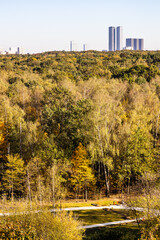 Wall Mural - city park on autumn day with high-rise houses
