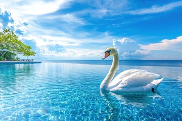 Wall Mural - A graceful white swan glides across the crystal-clear waters of a tropical swimming pool, with a lush green island and bright blue sky in the background.