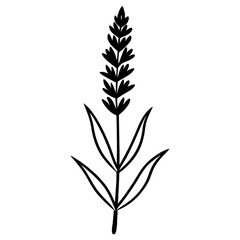 Wall Mural - silhouette of a lavender flower
