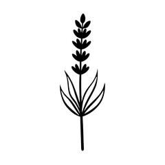 Wall Mural - silhouette of a lavender flower