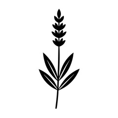 Wall Mural - silhouette of a lavender flower