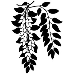 Wall Mural - black and white flower