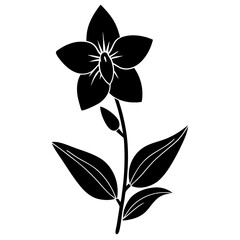 Wall Mural - black and white flower