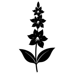 Wall Mural - black and white flower
