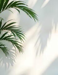 Poster - Tropical plant leaves cast dappled shadows on white wall. Sunlight filters through foliage creating soft light, shadow. Natural eco design. Soft light, shadow effect. Ideal for home decor nature