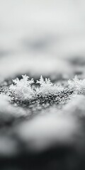 Wall Mural -   A black-and-white image of snowflakes on a water surface resembling snowflakes