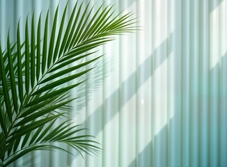 Aufkleber - Green palm leaves cast soft shadows on white sheer curtain. Sunlight filters through translucent fabric creating calming interior scene. Abstract design with modern look. Suitable for interior design