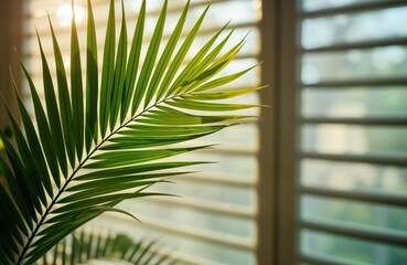Aufkleber - Green palm leaf shows natural beauty against white ribbed background. Stylish gradient adds to visual appeal. Copy space for branding design elements. Perfect for spa bathroom design. Tropical theme.