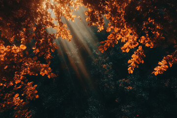 Wall Mural - Dense autumn forest texture, overlapping orange and red leaves with scattered sunlight breaking through