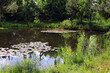 © sanek70974 - summer in the village on the pond