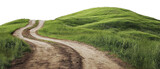 Winding dirt road through lush green hills, cut out - stock png.