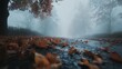 © peerawat - A foggy autumn morning with a path covered in fallen leaves, creating a mysterious atmosphere