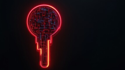 Poster - Glowing Digital Key on Black Background