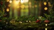 © ธนากร บัวพรหม - Forest scene with soft light and mossy ground