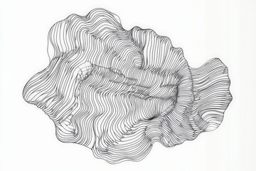 Poster - An abstract black-and-white line art piece that creatively forms a flowing, organic shape resembling movement, energy, and the illusion of depth.