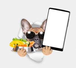 Poster - French bulldog puppy looks through the hole in white paper, holds bowl of vegetables and  shows smartphone with white blank screen in it paw, Empty free space for mock up, banner