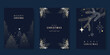 © babeer - Merry Christmas and Happy New Year greeting card vector set. Luxury invitation with Christmas tree, leaves, sparkle, spot texture on navy blue background. Design illustration for season's card, ads.