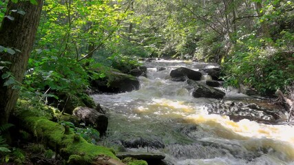 Wall Mural - cascade of waterfalls in scenic ricketts glen state park, pennsylvania.