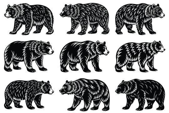 Bear Silhouette Bundle Set, Animal Bear Silhouette, Different Poses Bear Silhouette