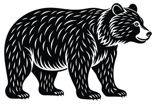 Bear silhouette