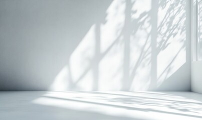 Poster - Minimalist Interior Space with Dramatic Shadows and Geometric Shapes for Serene Product Presentation