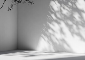 Poster - Minimalist White Wall Shadow Natural Tree Leaf Light Background Display for Product Photography