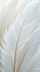 Poster - A close up of white feathers
