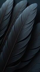 Poster - A close up of black feathers, possibly from a bird