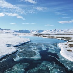 Poster - Visualizing climate change melting ice patterns unveiling arctic ecosystem networks in a stunning landscape