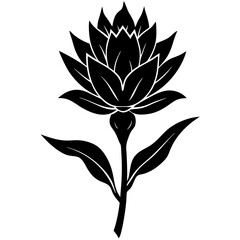 Wall Mural - black and white flower
