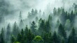 © irawan - Misty Mountain Forest Of Evergreen Trees