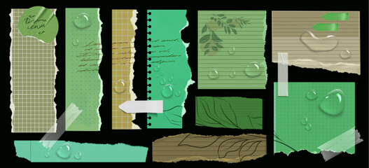 Poster - Green torn note paper sheet. Memo post label with white tape. Blank strip tag for office notice or message template. Ripped scrapbook square list set. Realistic ragged notepaper element layout