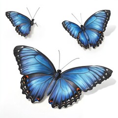 Poster - Three vibrant blue butterflies display their stunning wings in a white background, creating an artistic contrast.