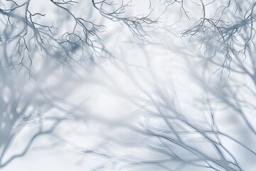 Wall Mural - snow covered branches