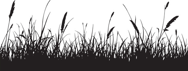 silhouette, grassy field silhouette, vector