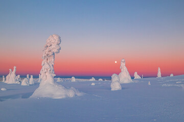 Sticker - winter landscape with snow