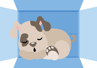 Wall Mural - Cute puppy sleeping in cardboard box