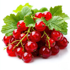 Poster - Red Currant Isolated