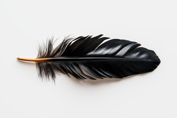 Poster - A plain white background with a single black feather resting in the center, symbolizing elegance