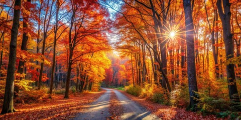  Autumnal Path Through a Sun-Drenched Forest of Vibrant Red and Gold Foliage