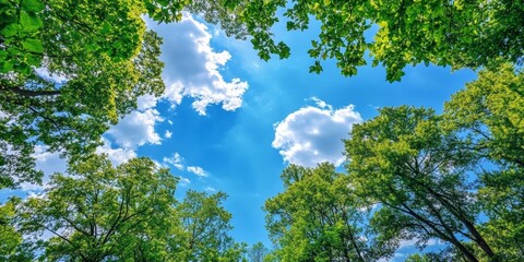 Aufkleber - Vibrant blue sky contrasts beautifully with lush green trees, creating a stunning summer landscape that captures the essence of summer in nature. Enjoy the serene atmosphere of blue sky and trees.