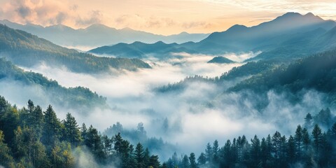 Poster - Misty mountains enveloped in morning fog create a serene atmosphere, showcasing the beauty of morning mist in the mountains. Experience the tranquility of morning mist in the mountains today.