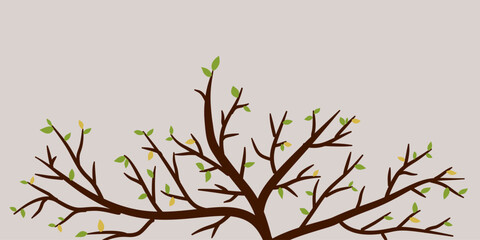 Autumn branches of trees front. Dry branches rustic plants silhouette abstract. Branch tree woods for decorative ornament, card and paper.