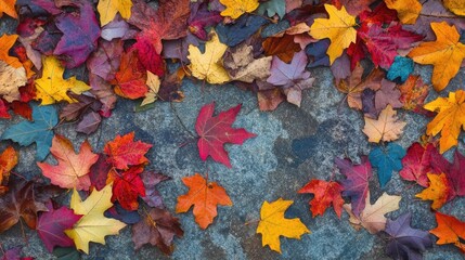 Poster - Scattered autumn leaves on a serene forest floor